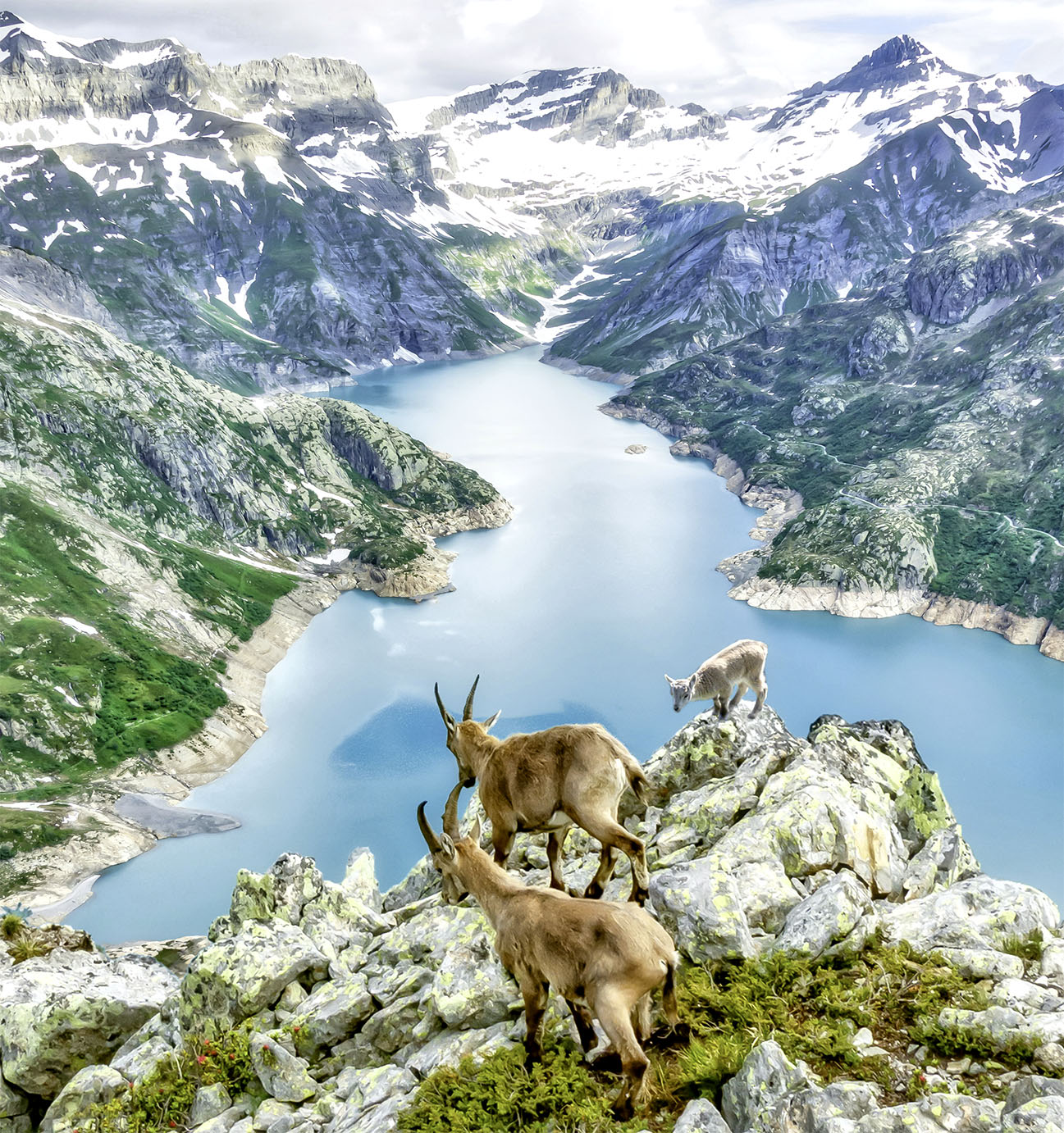 Mountain Hikers