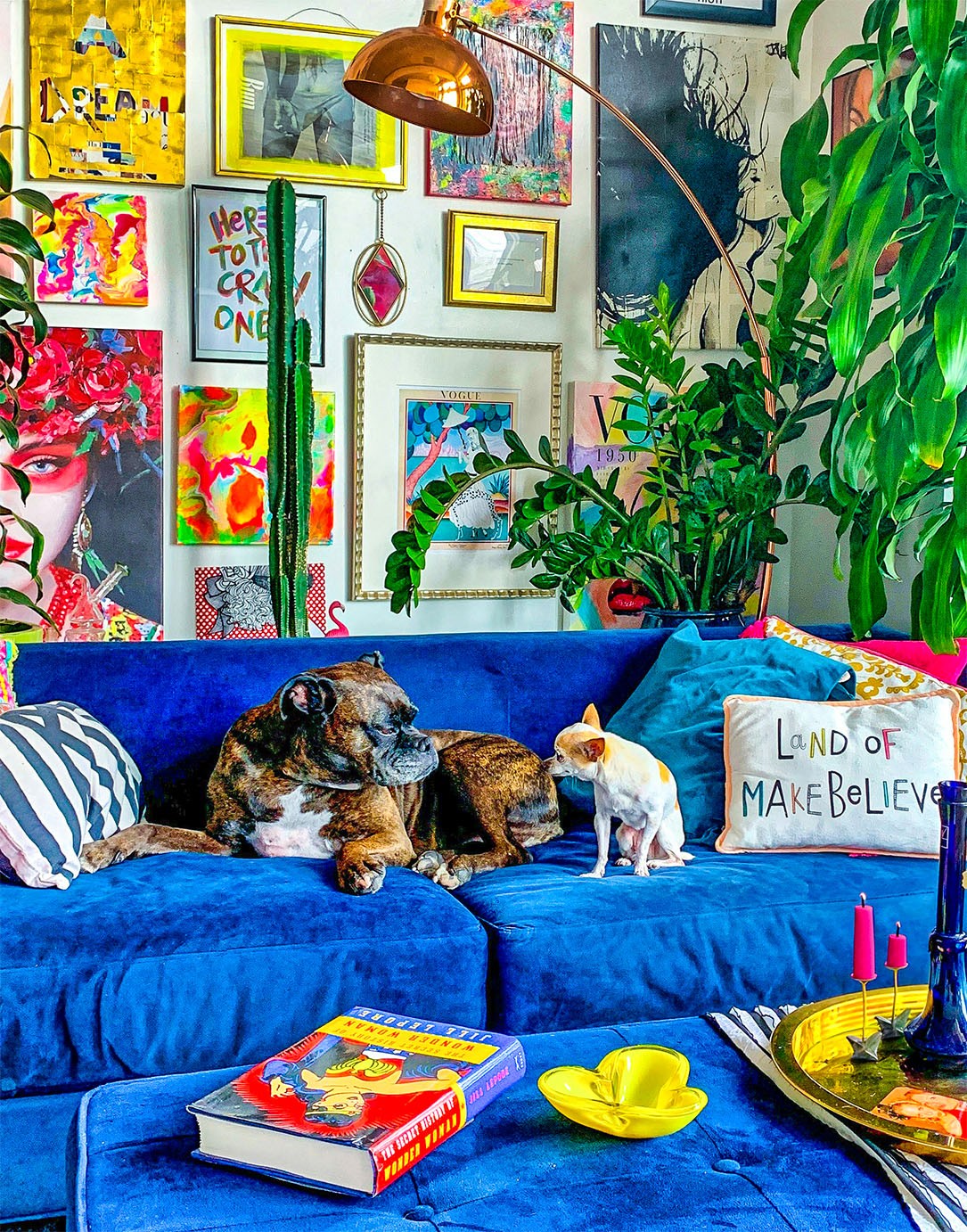 Dogs lounging
