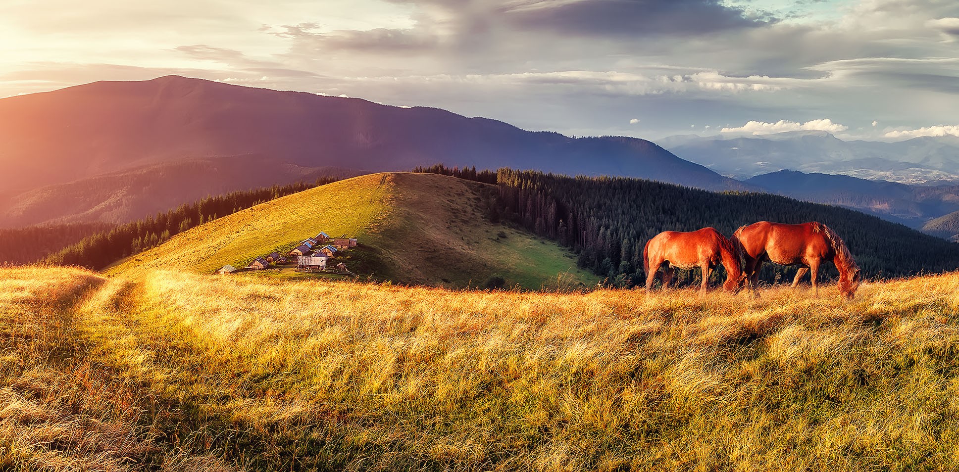 Picturesque mountain pasture