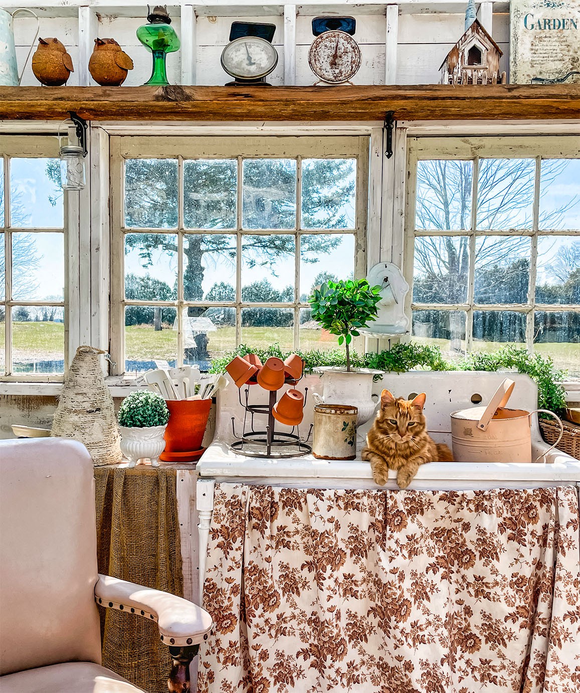 Country kitchen with cat