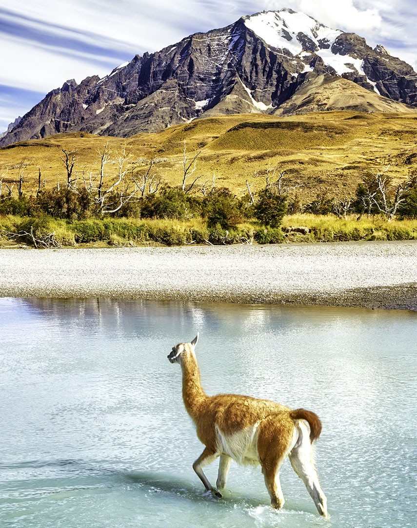 Alpine Adventure
