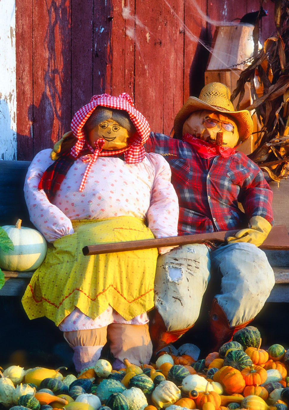 Scarecrow Couple
