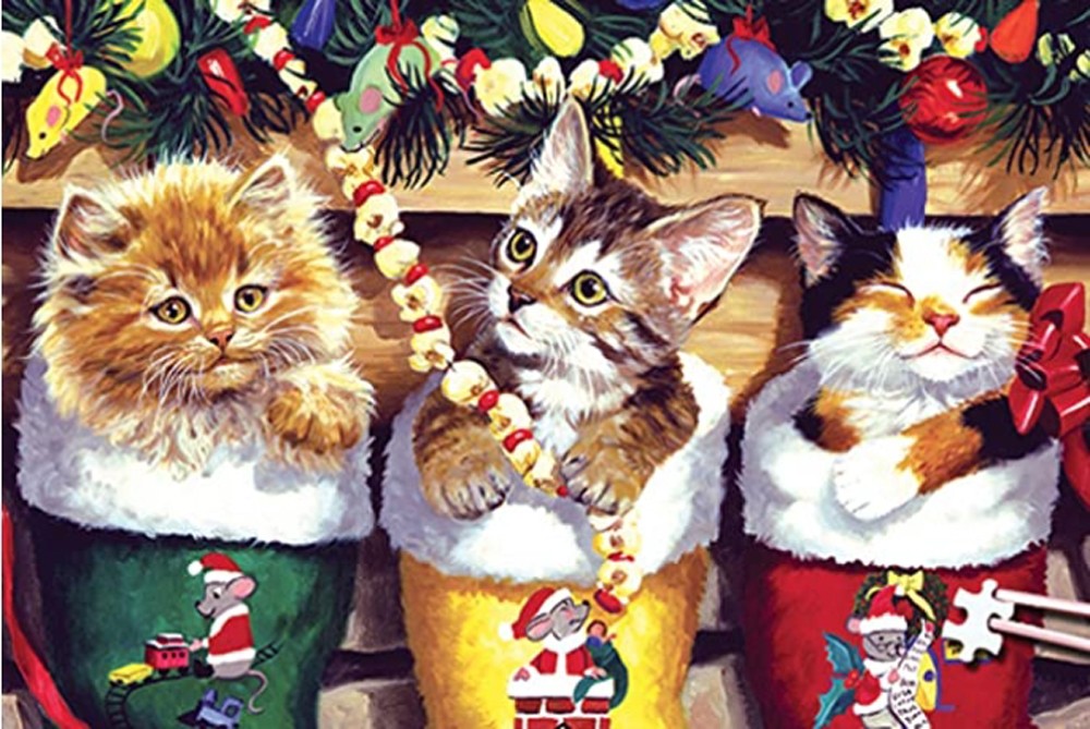 Holiday cat family