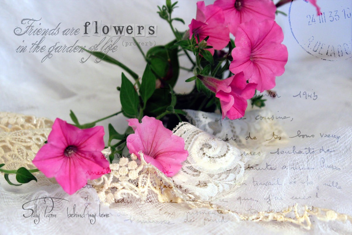 Flowers on table