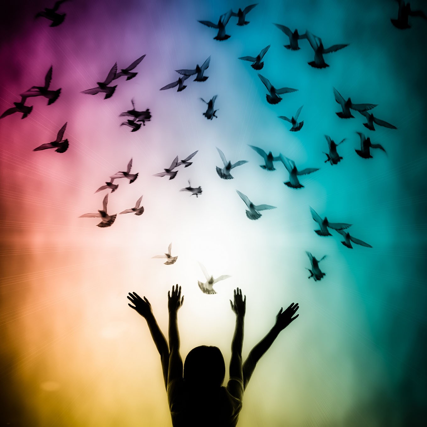 Colorful Birds of Joy