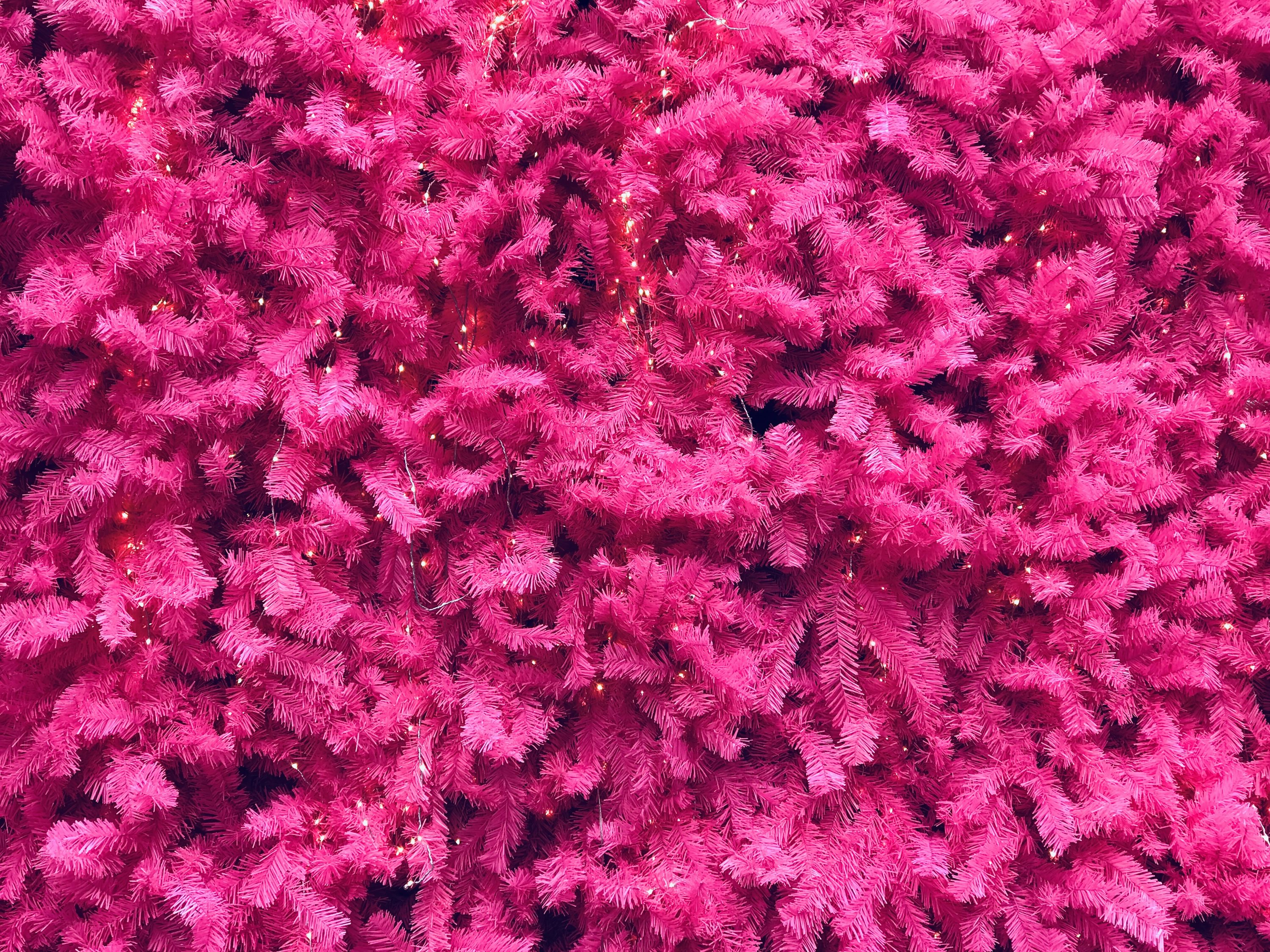 Pink and green trees