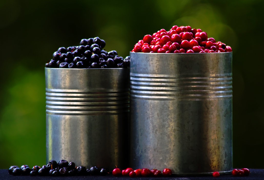 Canned Delights