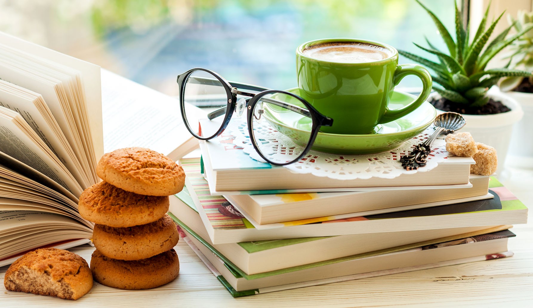 Bookshelf Cafe Scene