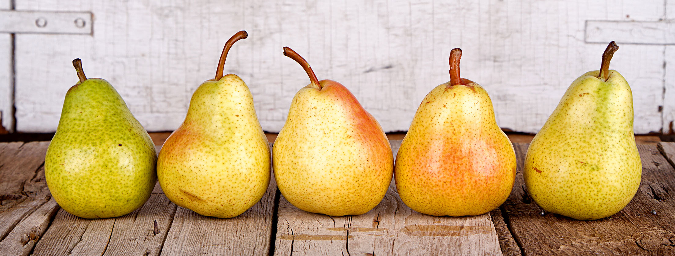 Six Pears of Various Stages of Ripeness