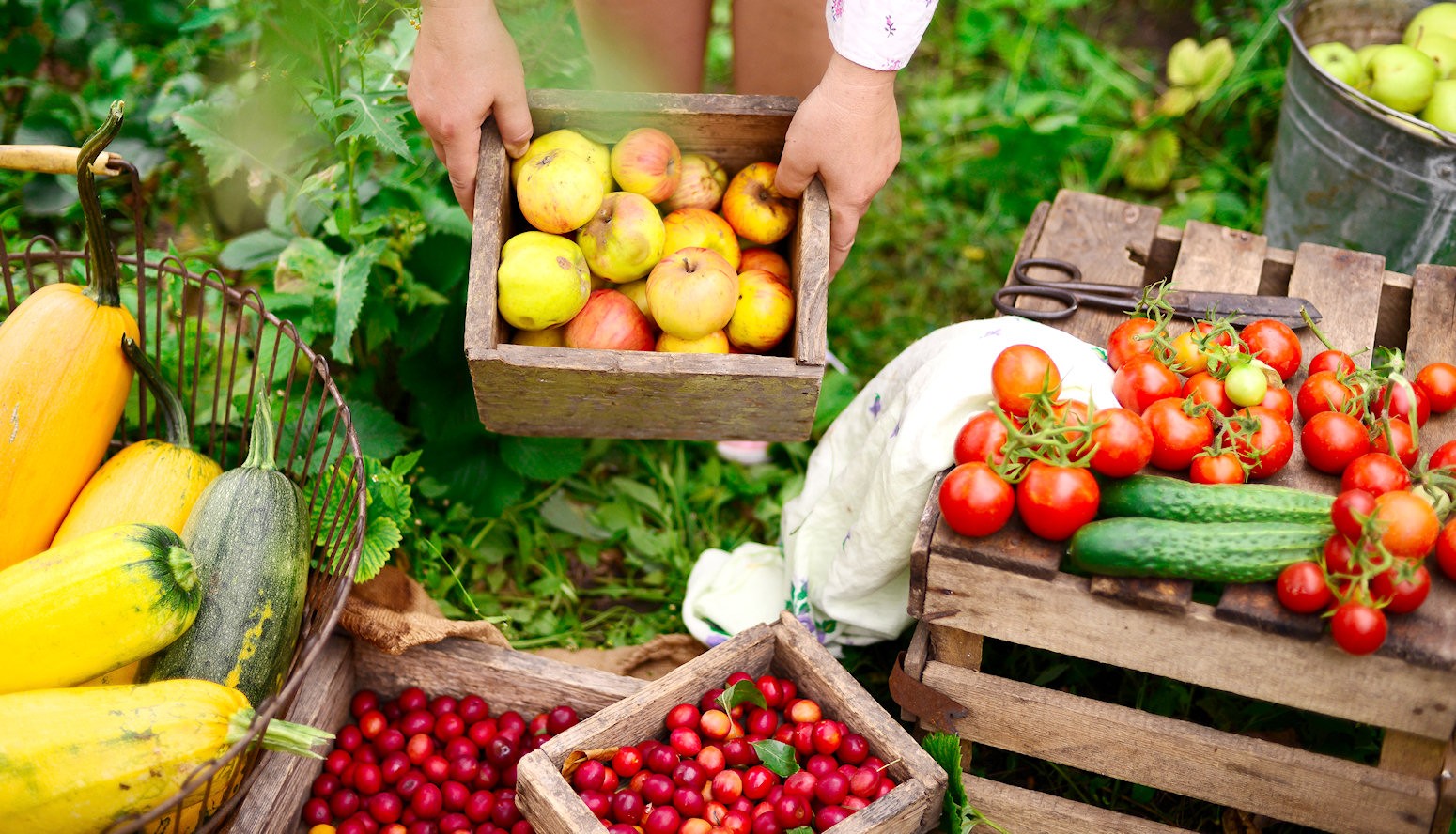 Market Bounty