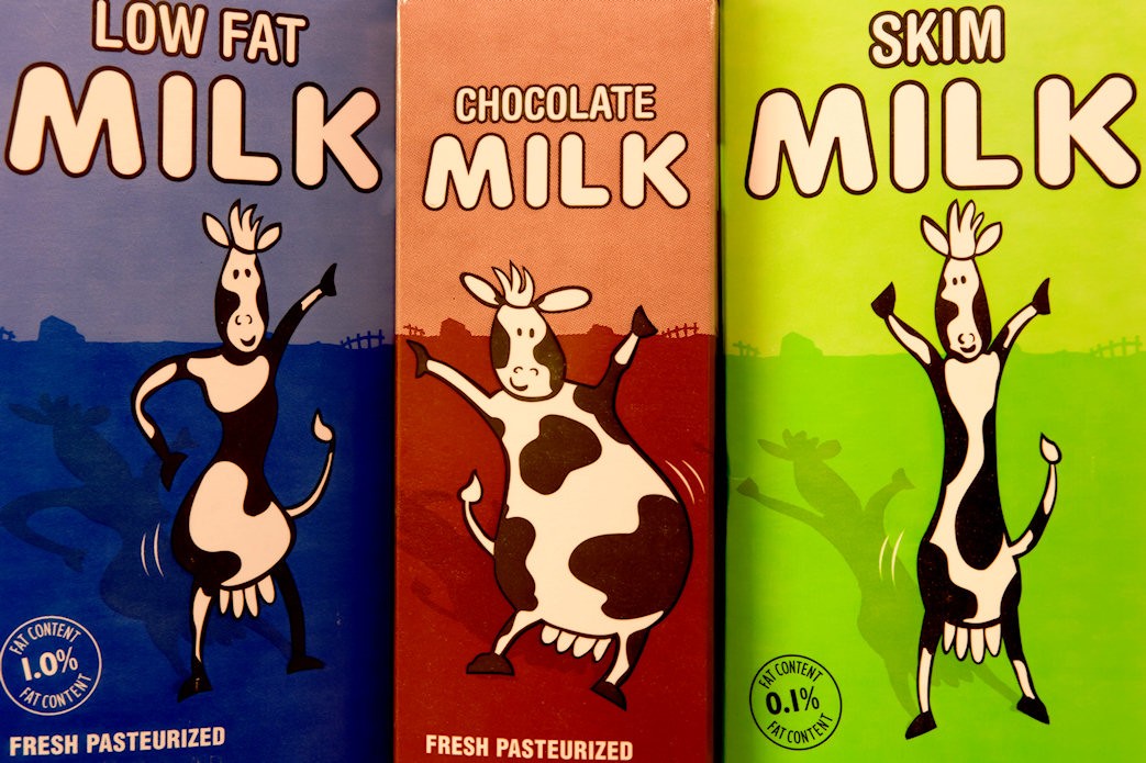Milk Carton Collection