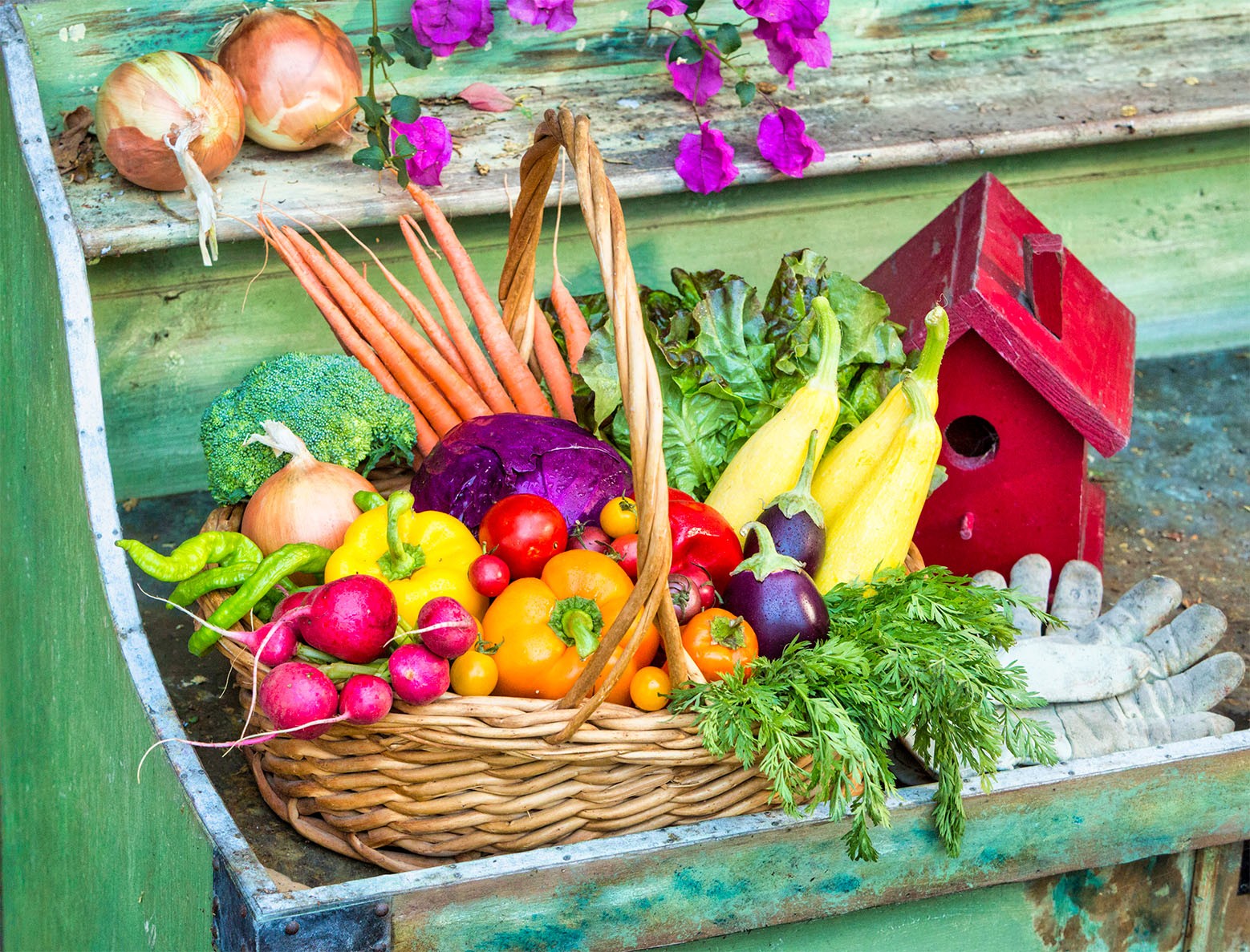 Colorful vegetables basket