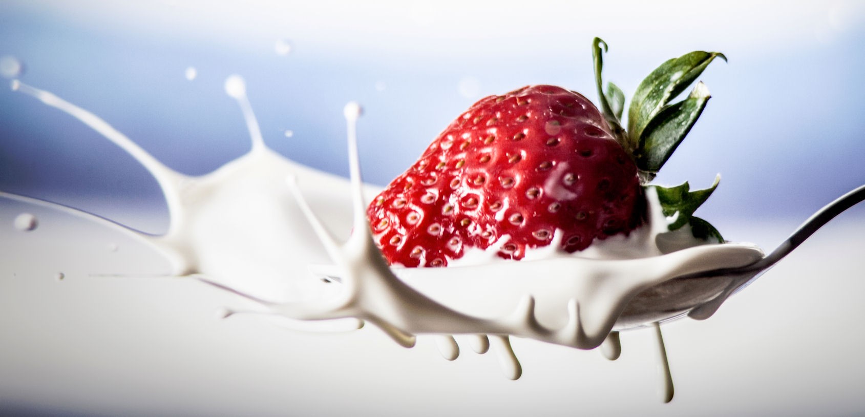 Fresh Berry Blast