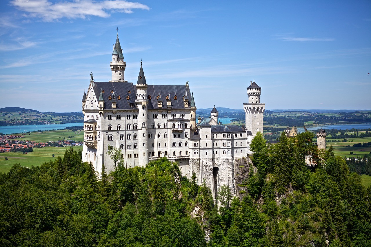 Castle in middle of forest