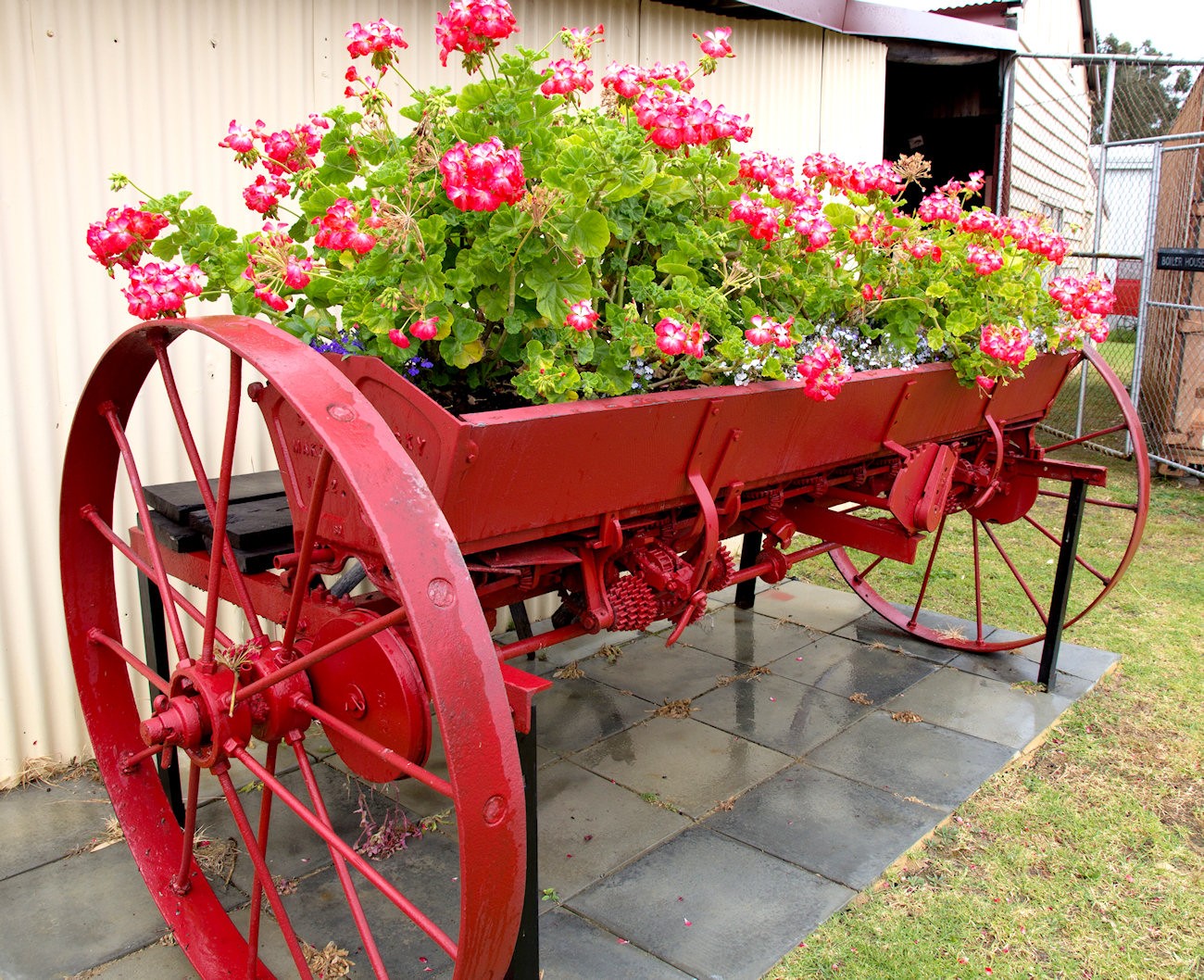 Red wagon with flowers planted on top