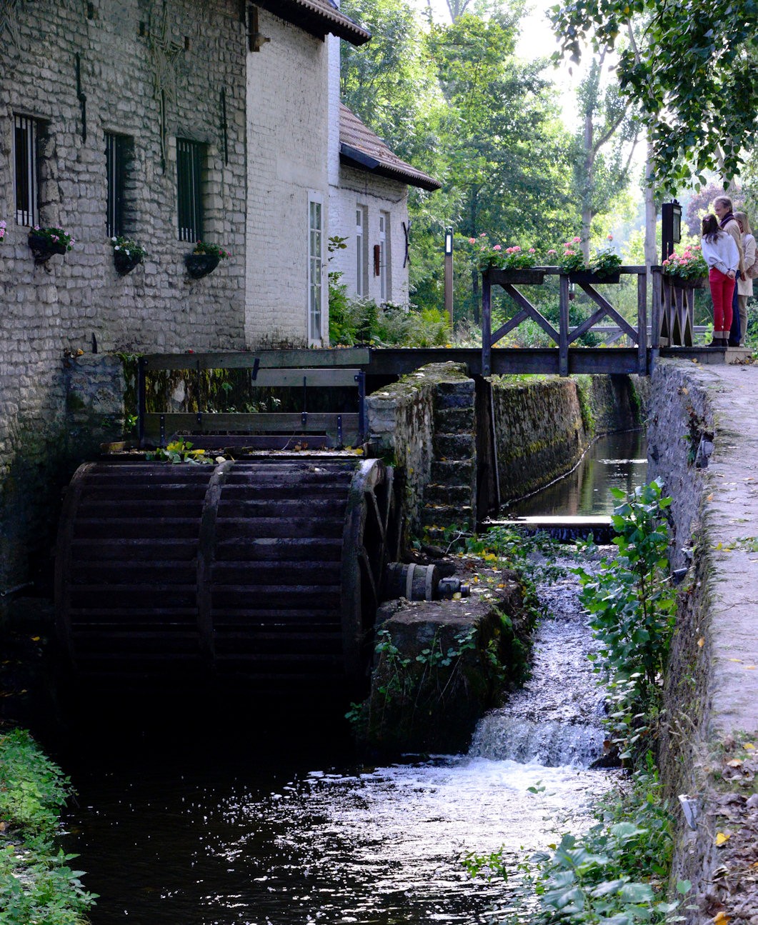 Rural Mill Creek
