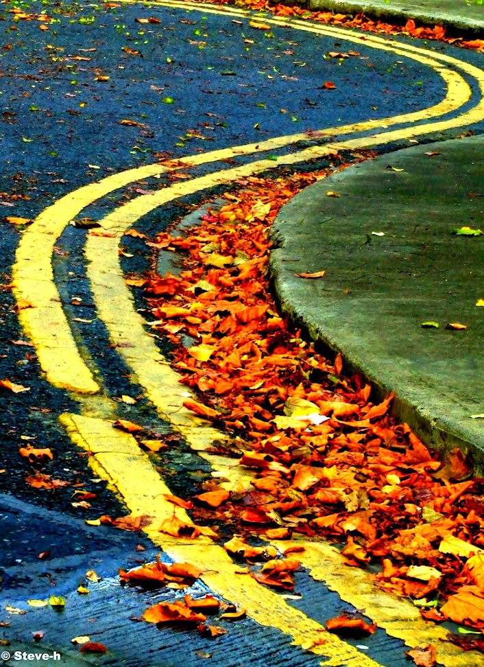Curved Yellow Path