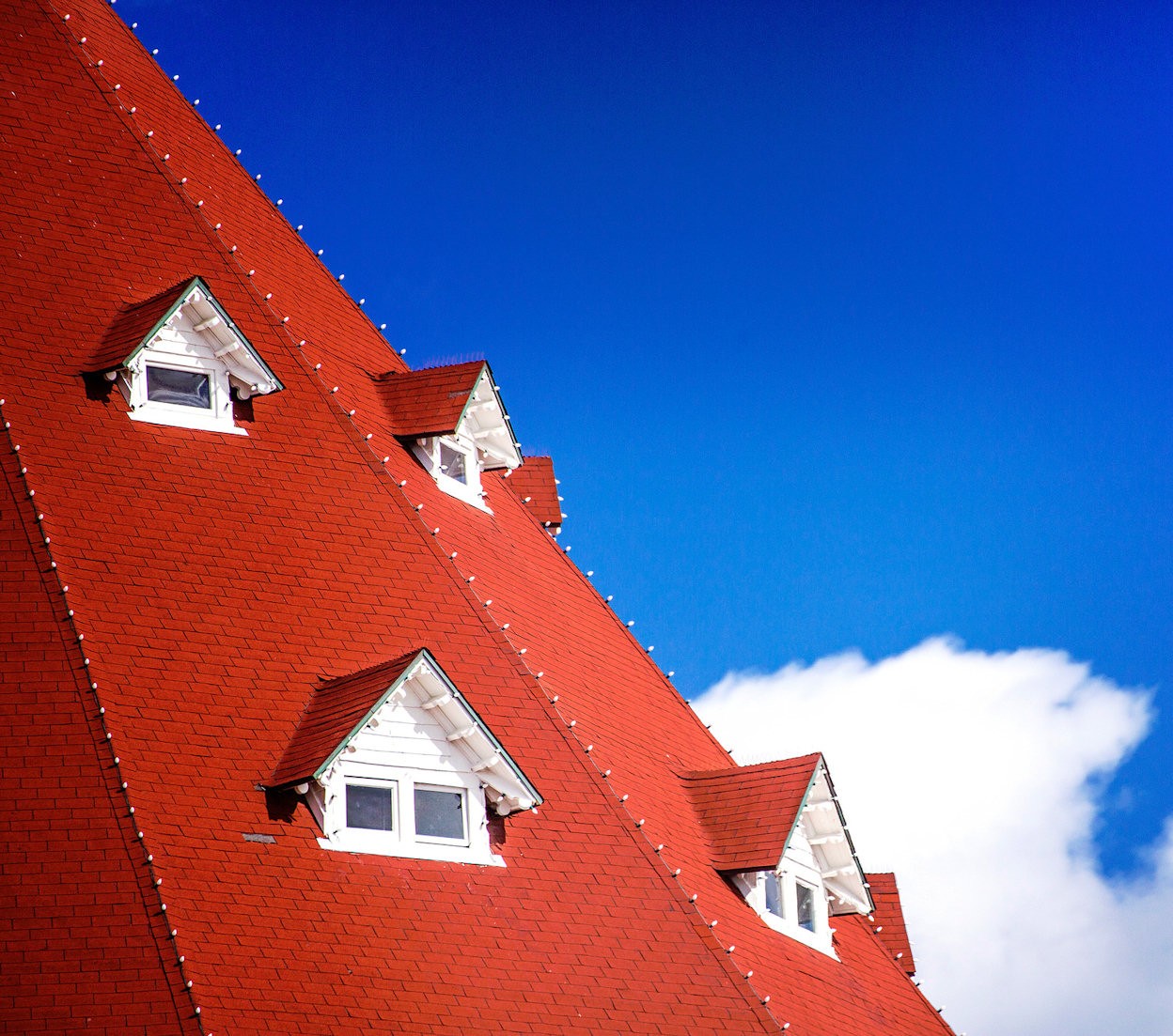Roof of houses