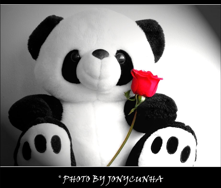 "Panda with flower"