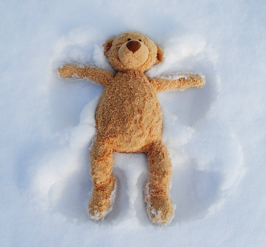 Teddy bear on snow