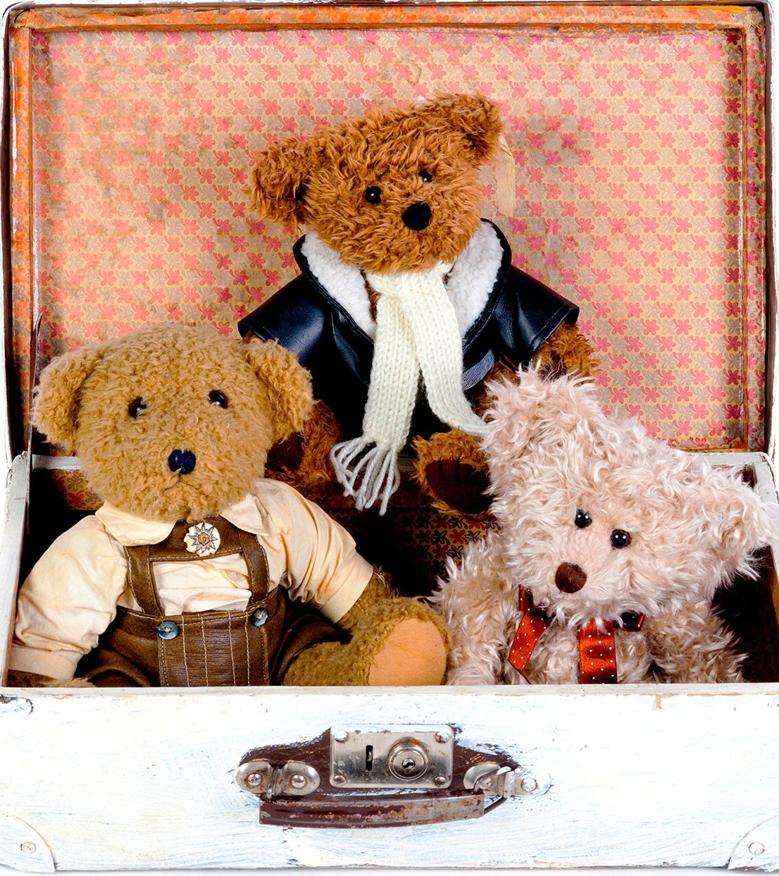 Teddy bears in suitcase