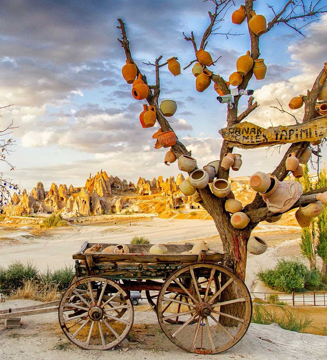 Fruitful Orchard
