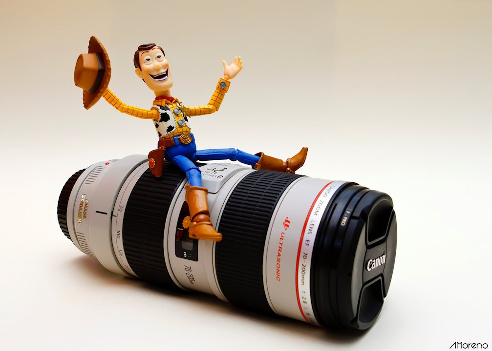 "Woody's Wild Photo Opportunity"