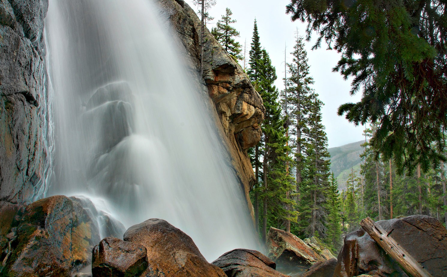 Tall waterfall, trees around base