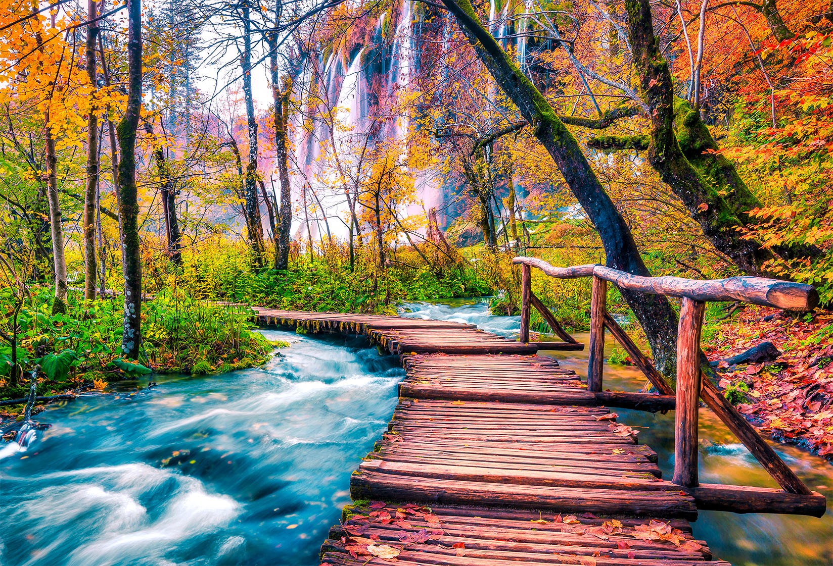 Fall scenery