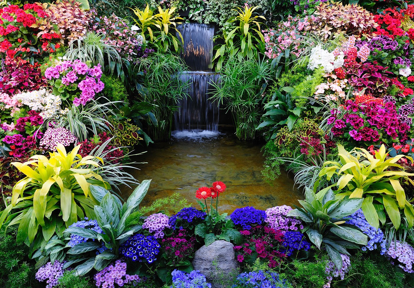 Colorful garden with waterfall and pond