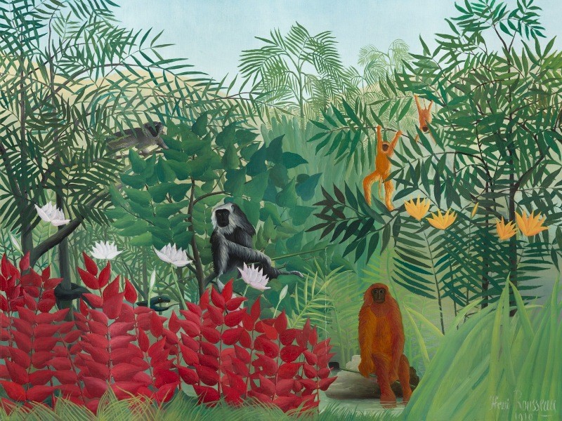 Jungle scene with animals