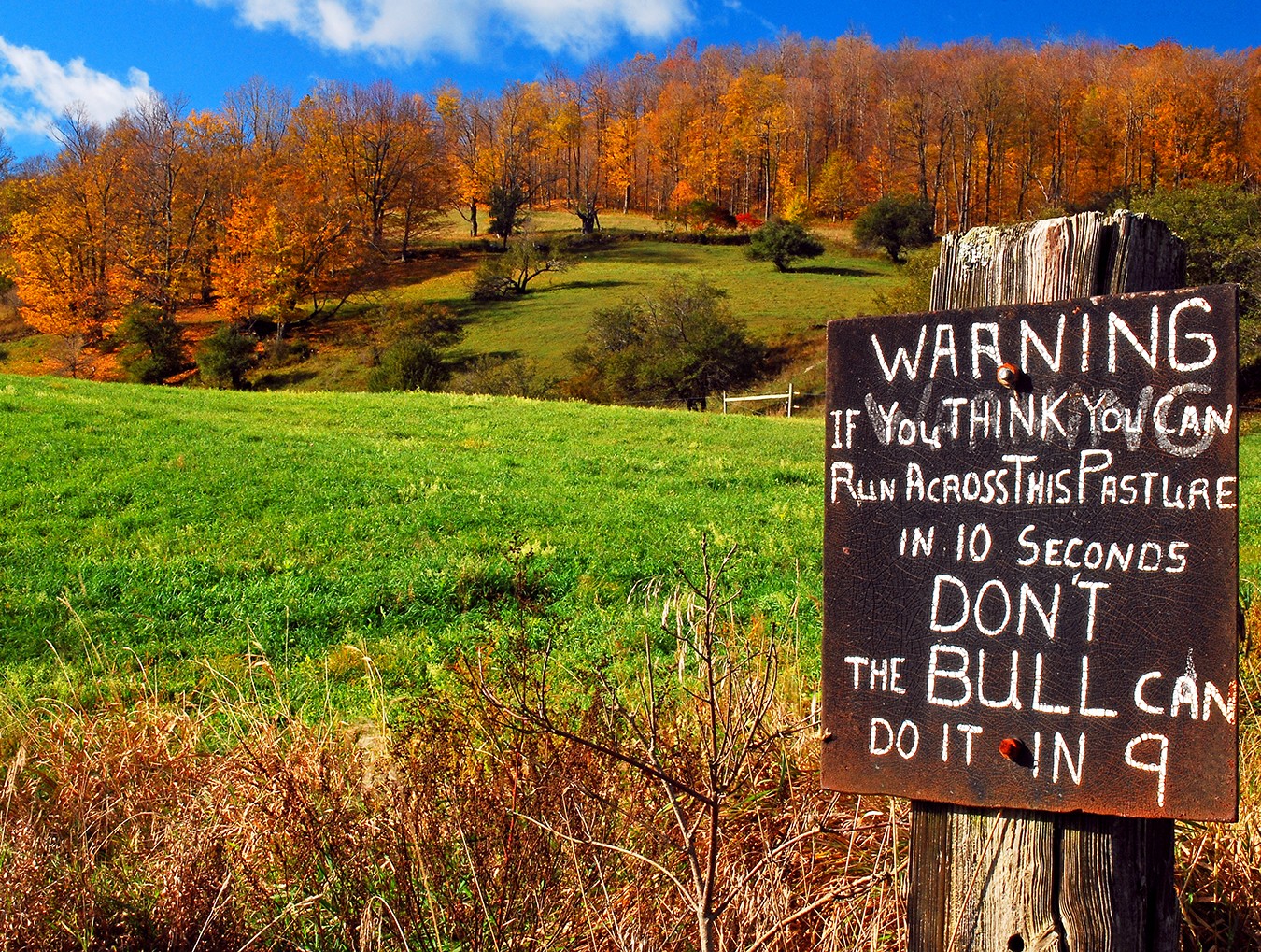 "Warning Signs"