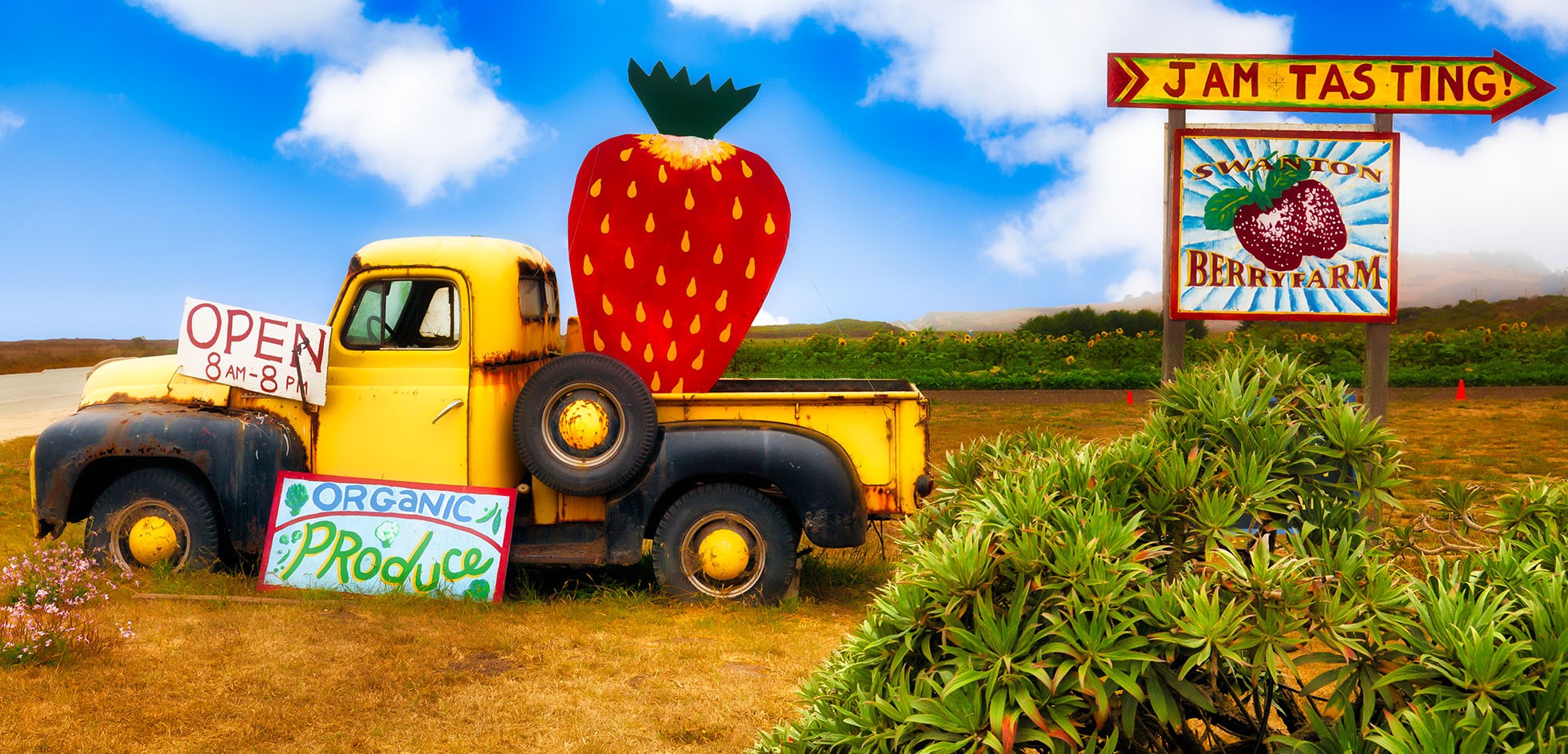 An open sign of strawberry picking