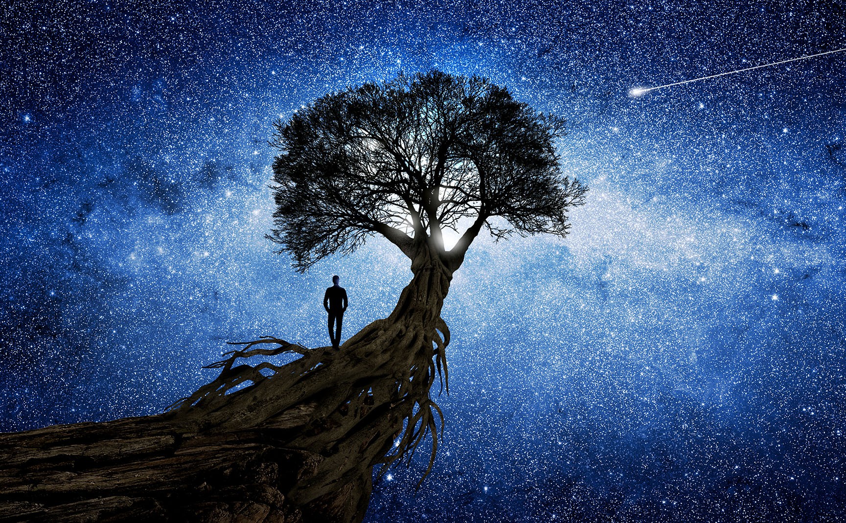 Tree silhouette on cliff at night