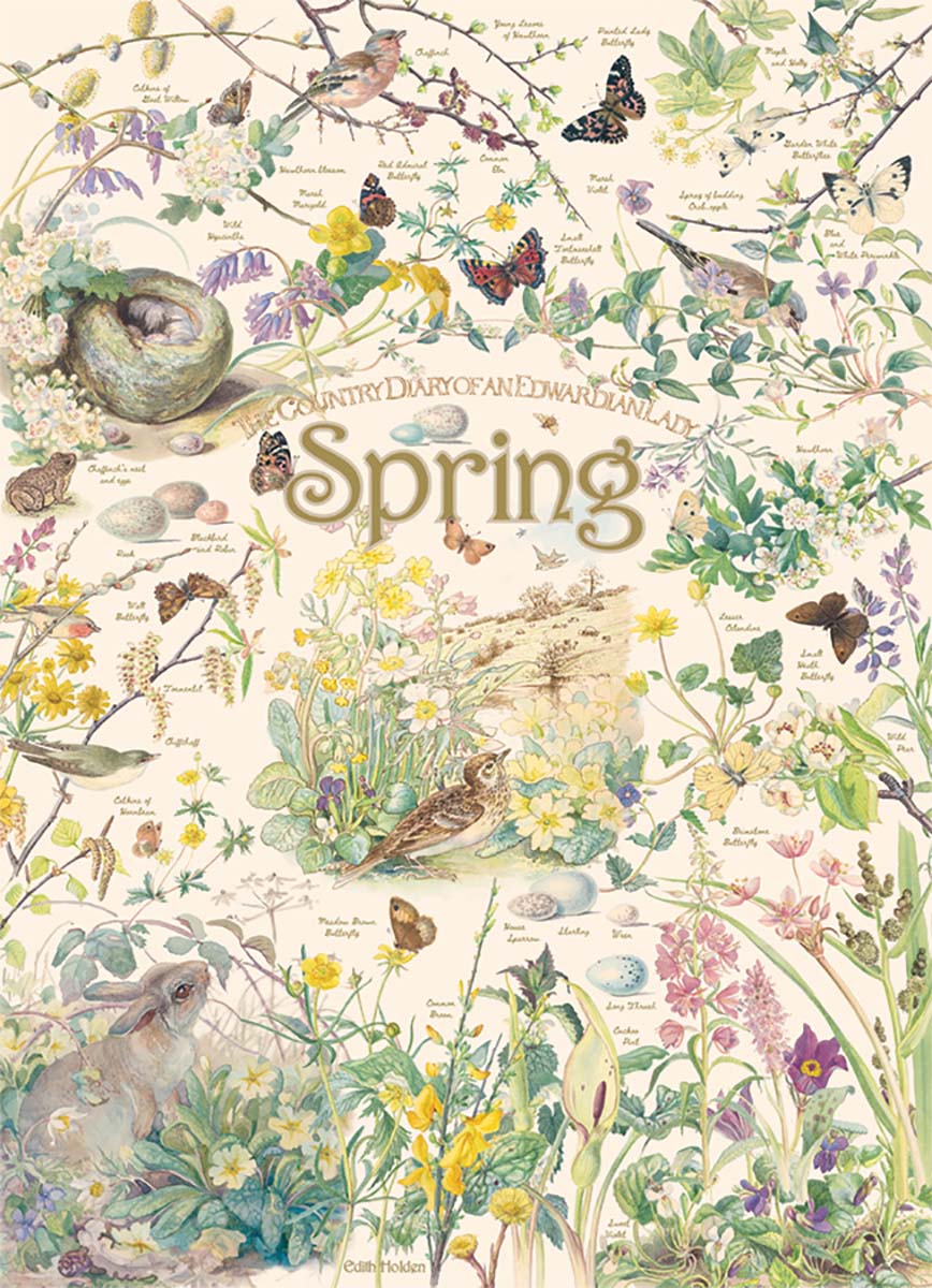 Spring nature illustration collage