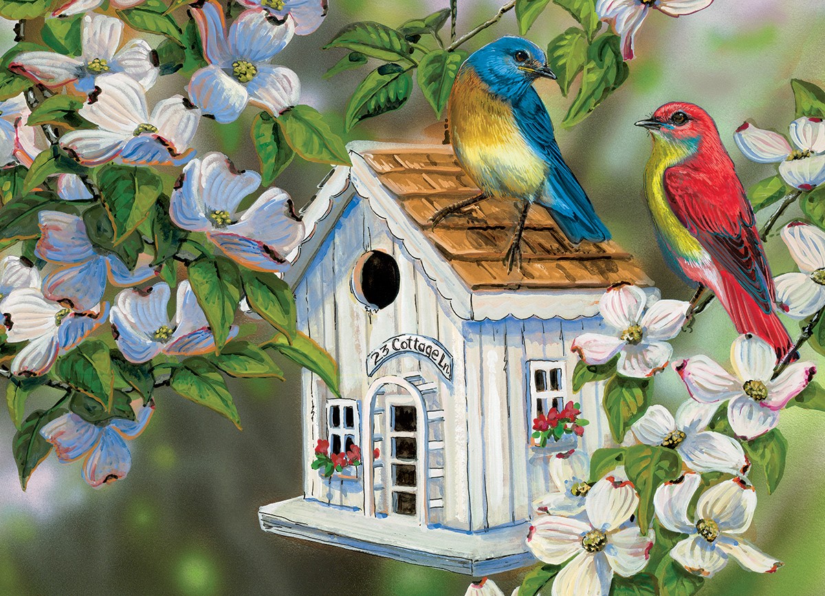 Colorful birds at home
