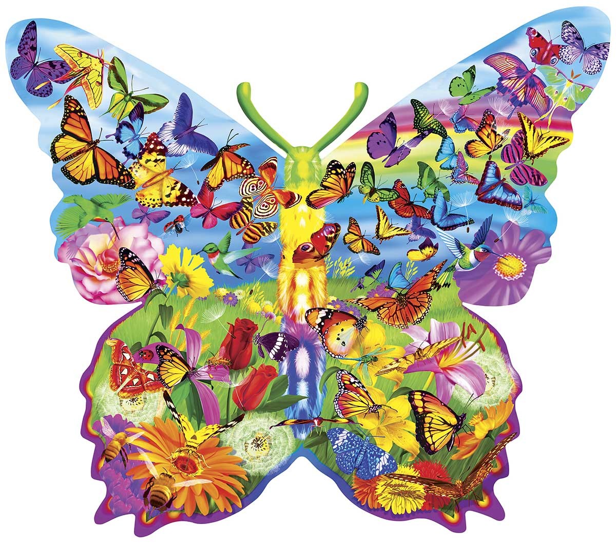 Colorful butterflies and flowers