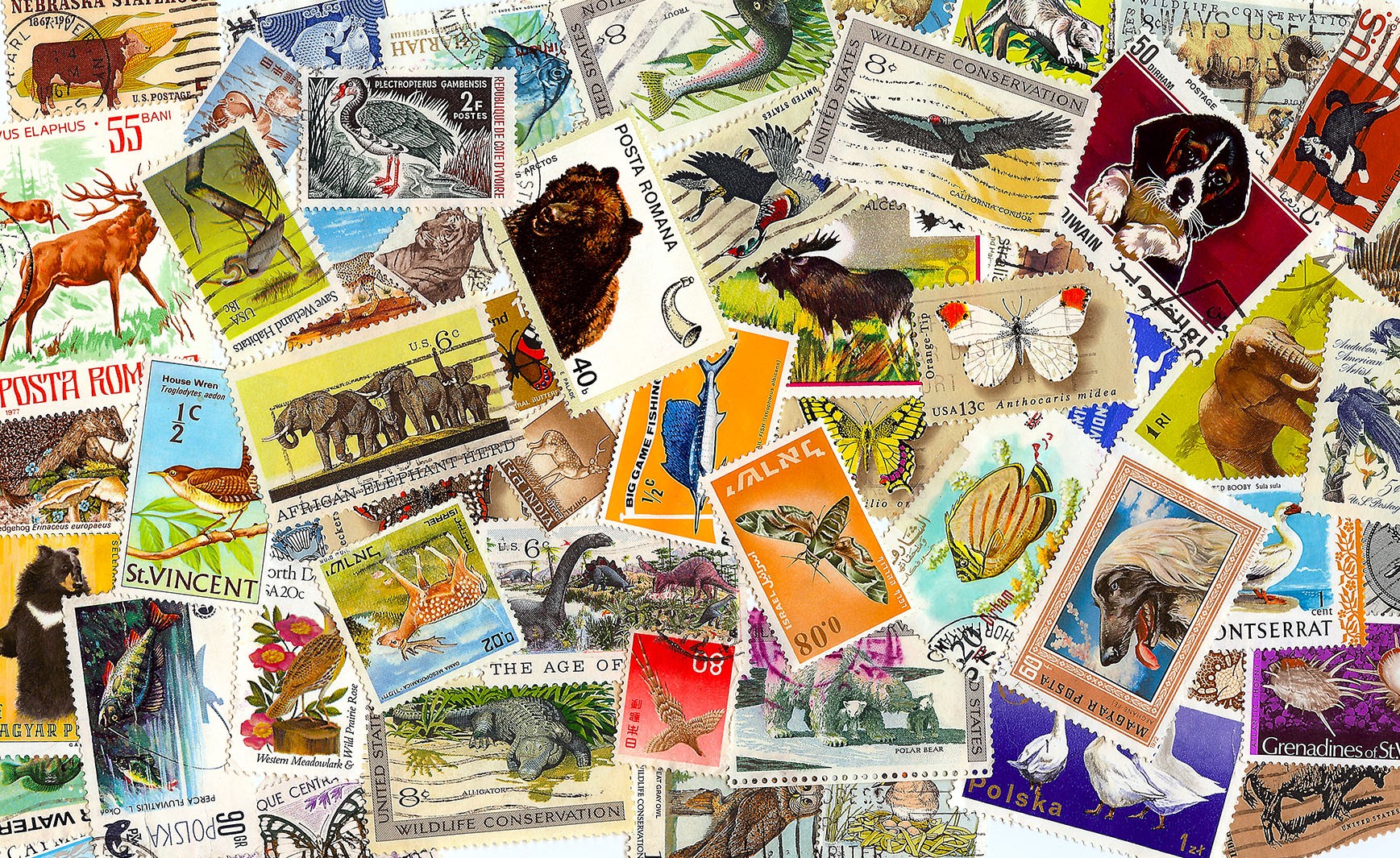 "Diverse Postage"