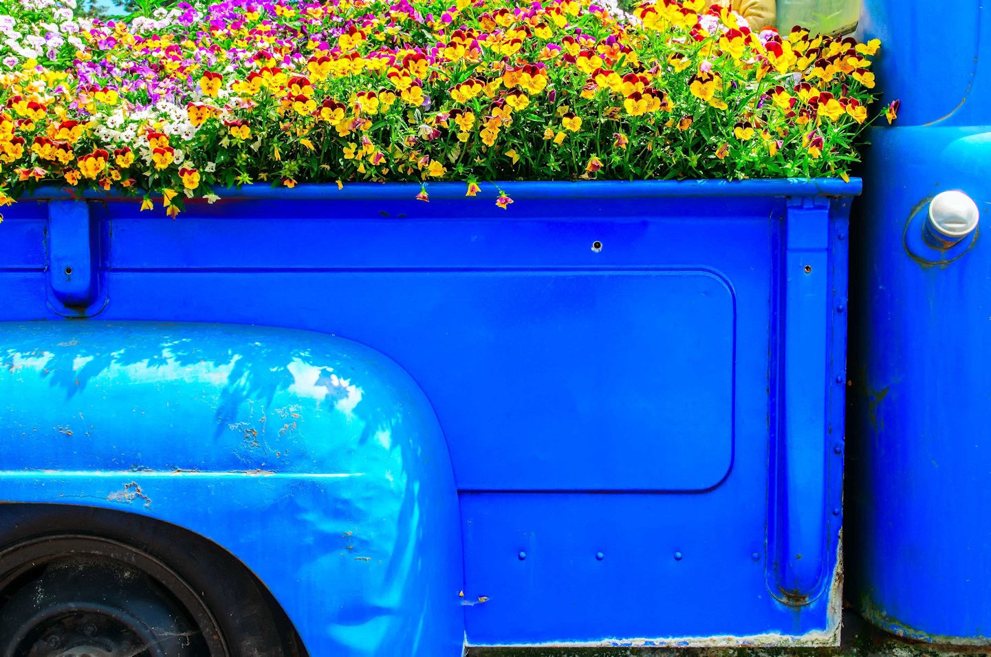Flower box on truck