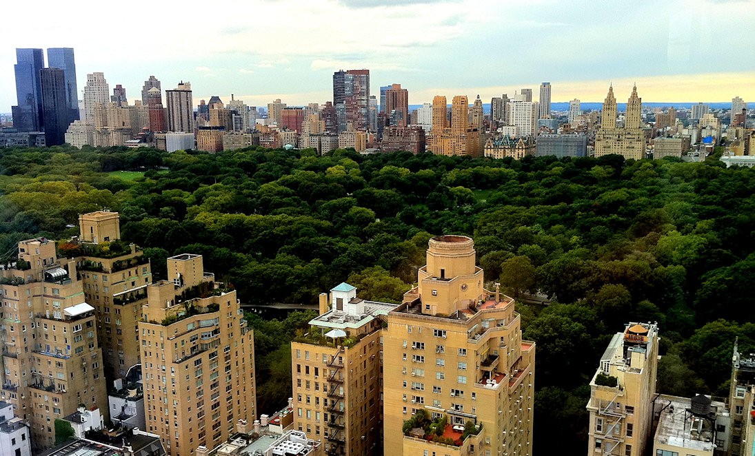 City Skyline View