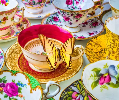 Butterfly Tea Party