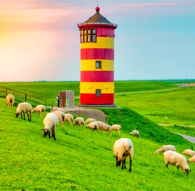 Lighthouse on hillside with sheep grazing