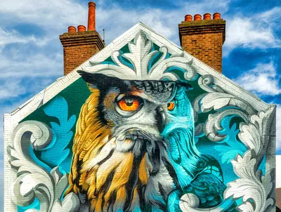 Vivid Owl Mural