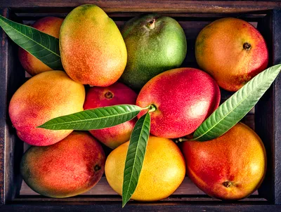 Fruit Basket Display