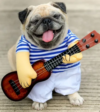 music