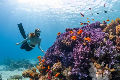 underwater